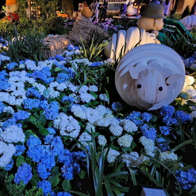 Blossoms under Starlight: Night at Flower Dome