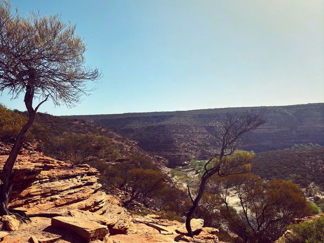 Kalbarri Natures Window! I see the world!😎🫣