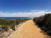 The Great Ocean Road - A Great Road Trip