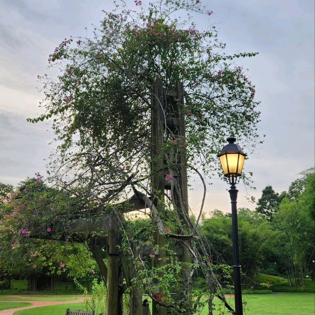 新加坡植物園（Singapore Botanic Gardens）