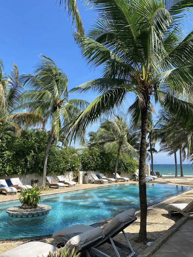 Surfers Day - Absolutely a perfect beach day at Mui Ne Sailing Club