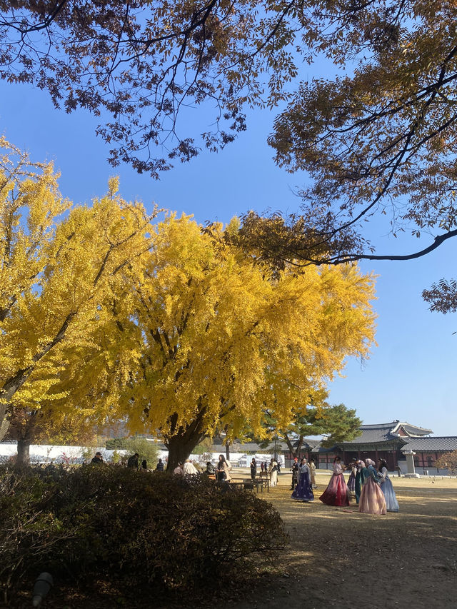  A Timeless Journey at Gyeongbokgung Palace, Seoul