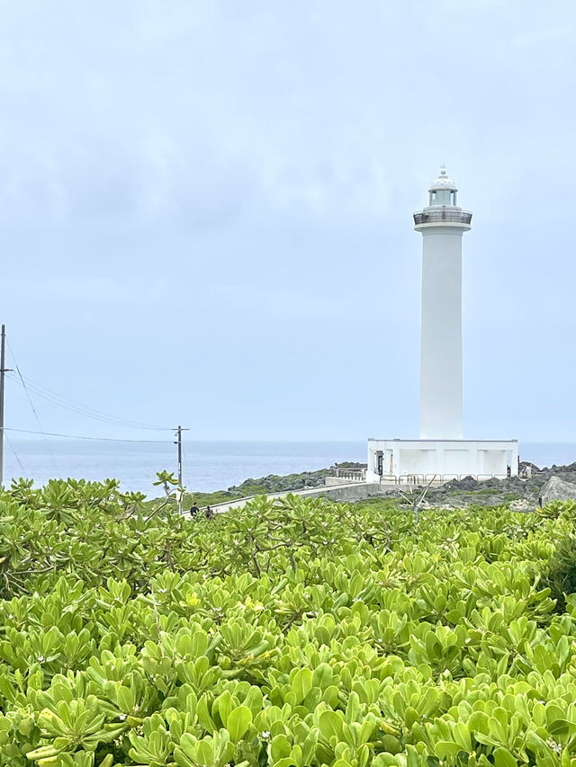 殘波岬公園-壯觀的斷崖，延綿不斷的海岸線