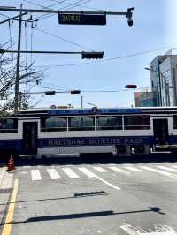 HAEUNDAE BLUE LINE PARK | YOUR COASTAL ADVENTURE AWAITS 