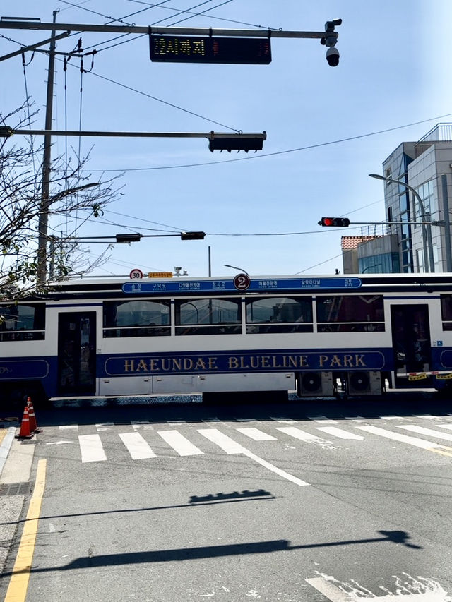 HAEUNDAE BLUE LINE PARK | YOUR COASTAL ADVENTURE AWAITS 