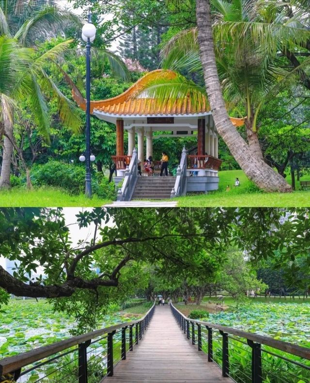 對!!這就是大明湖畔的“夏雨荷”