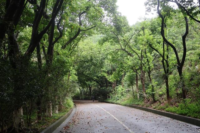 大夫山森林公園南門，坐落於廣州番禺的綠意盎然之地～