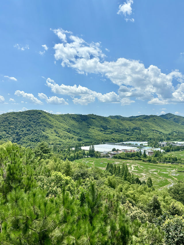 莫干山避暑！！！住進山裡呼吸新鮮空氣玩水。