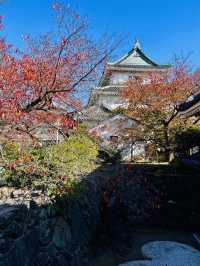 日本·和歌山城。