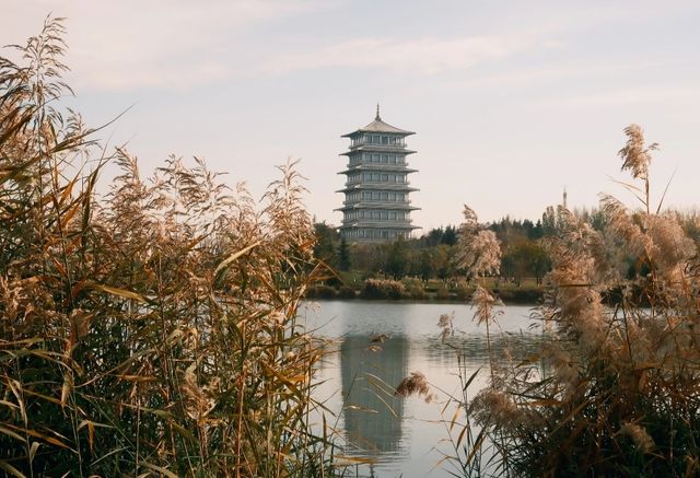 綠色之旅：揭開北京世園公園的神秘面紗