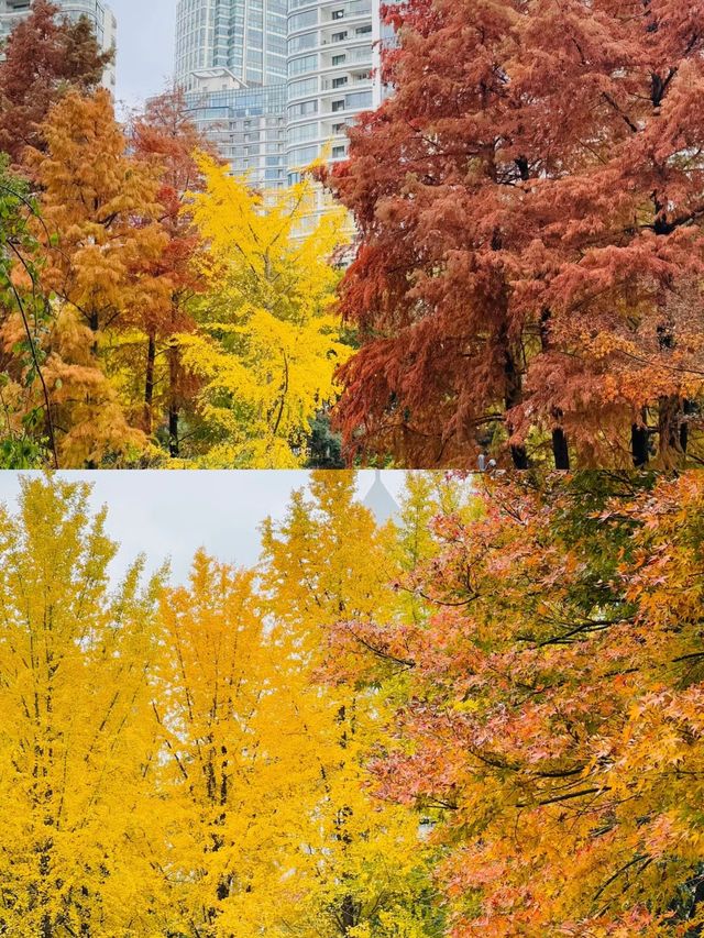 上海延中綠地附近冷門公園已美到封神附路線