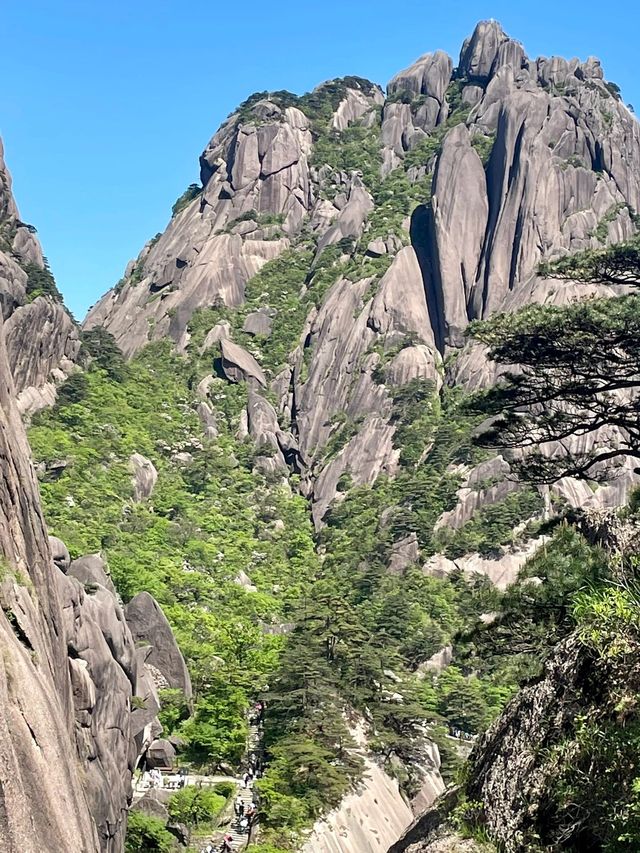 黃山2日遊看這篇就夠了不踩雷