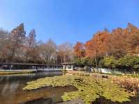 【西湖遺夢】杭州郭莊，探訪西湖邊的古典園林