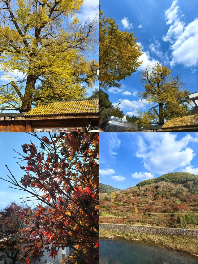 上海出發自駕四明山，一日遊攻略