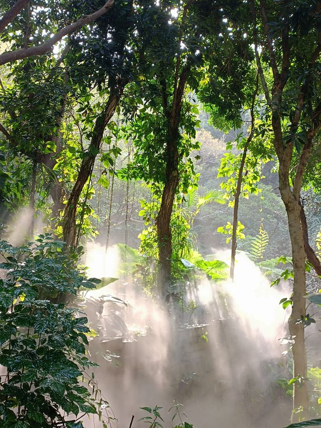 廈門植物園遊玩攻略