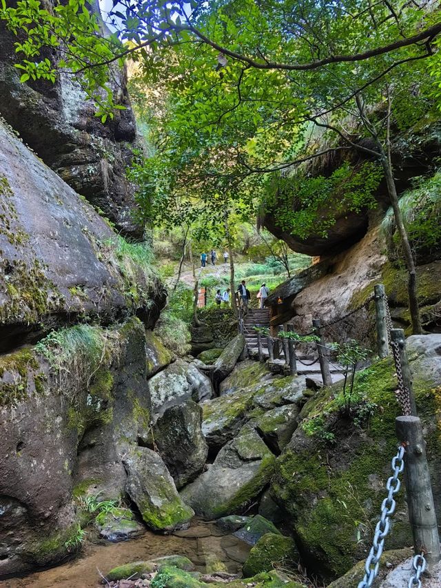 冬季來武夷山 感受山水好風景