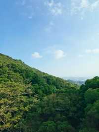 廈門-鼓浪嶼-福建土樓老友記超實用旅遊攻略