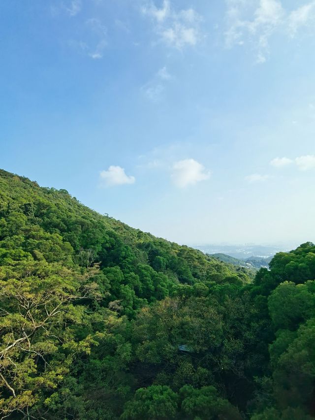 廈門-鼓浪嶼-福建土樓老友記超實用旅遊攻略