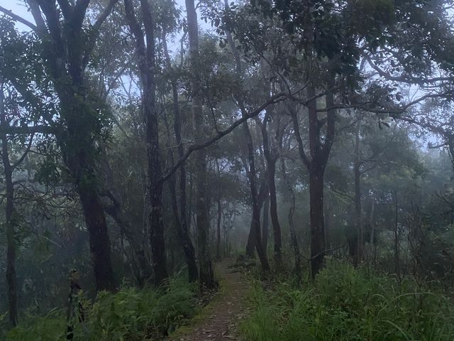 ชมธรรมชาติกับอุทยานแห่งชาติดอยขุนตาล⛰️🪵