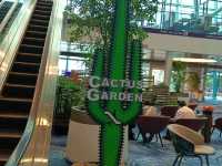 Cactus Garden