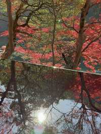 丸窓から映り込む紅葉リフレクションが絶景✨水鏡も最高！