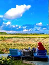 MUST VISIT CAFE AMIDST PADDY FIELD IN HOI AN