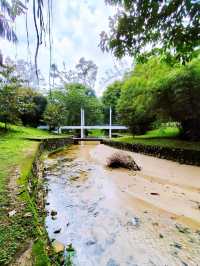 Exploring the Penang Hill Biosphere Reserve