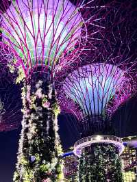 A futuristic Garden - Gardens by the Bay: Spectacular Fusion of Nature and Technology