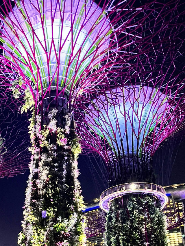 A futuristic Garden - Gardens by the Bay: Spectacular Fusion of Nature and Technology