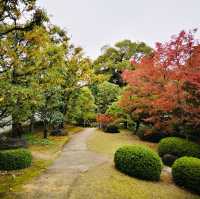 Nature’s Palette: Autumn Bliss at Kokoen Garden, Himeji!