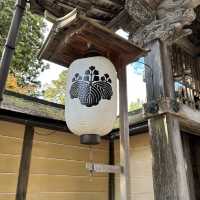 🇯🇵【和歌山】高野山真言宗　総本山金剛峯寺