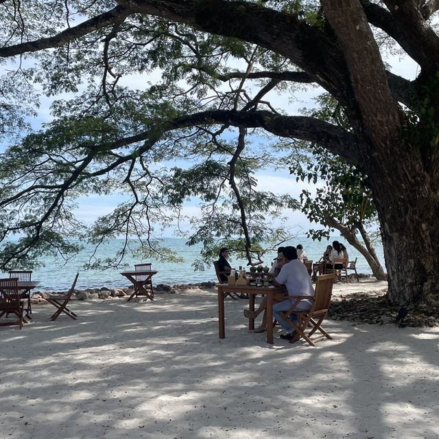 ค่าเฟ่แห่งใหม่ สไตล์บาหลี BAMBU BEACH CLUB ระยอง