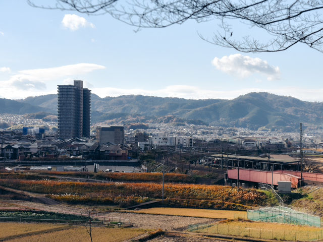 龜岡市 郊遊好去處