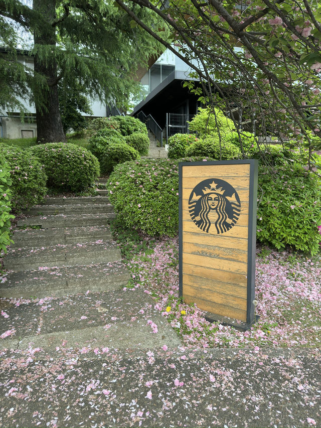 Discover Serenity at Shinjuku Gyoen, Tokyo’s Urban Escape