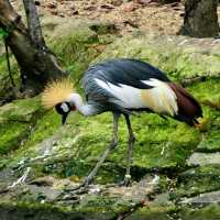 親子活動帶小孩去廣州動物園