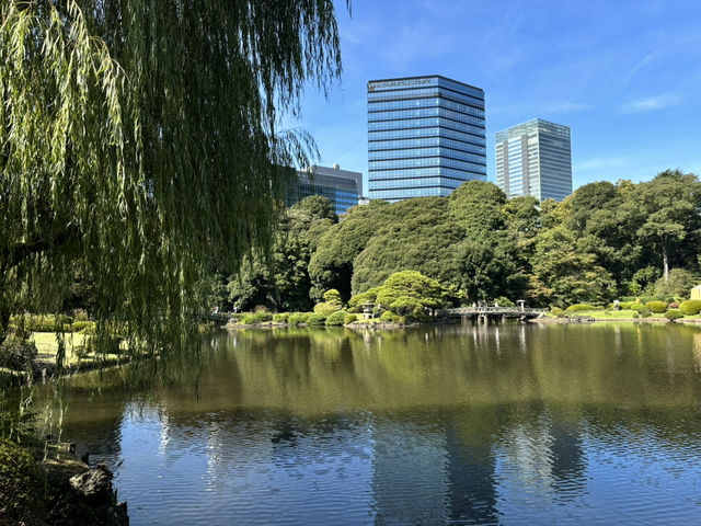 旅遊遊記：探索東京的綠洲——新宿御苑🌳🌼🌻