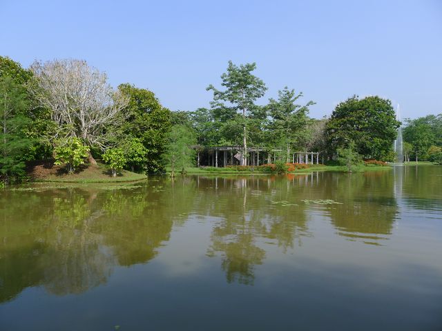 景洪·熱帶植物園西區——園藝的巔峰之作。