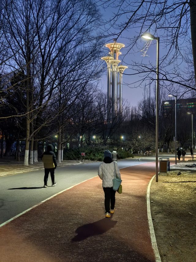 【冬日奔跑】北京奧林匹克森林公園，傍晚的健身之旅