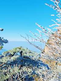 古人不曾欺我——登黃山天下無山，觀止矣