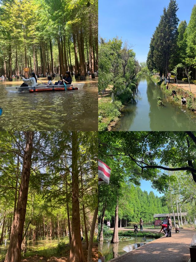 撈魚河濕地公園，邂逅海鷗，暢享天然氧吧