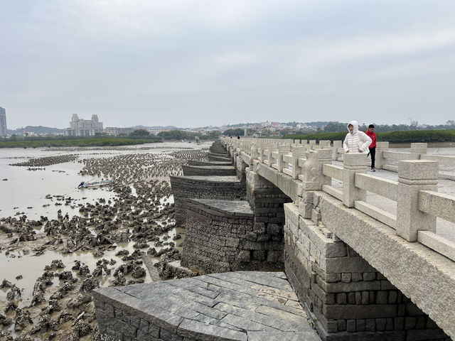 生於福建泉州之「洛陽橋」！