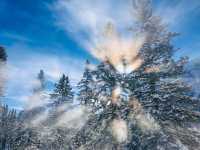 原來冰封的露易絲湖雪景比夏天還美