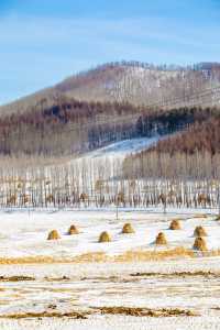 就為這一刻的雪景，我才跨越3000公里來東北