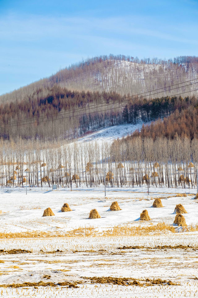 就為這一刻的雪景，我才跨越3000公里來東北