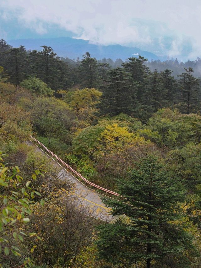 峨眉山2日遊 玩轉仙山不迷路