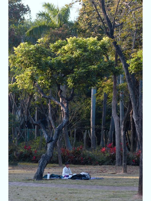 遛娃好去處｜忠倫公園散步的愜意時光！！