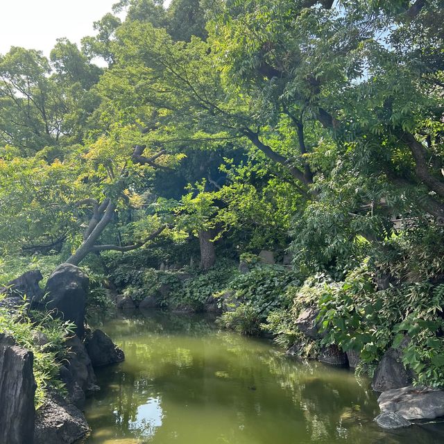 19세기 일본정원에서 산책해볼까요? 도쿄 기요스미 정원에서🍃