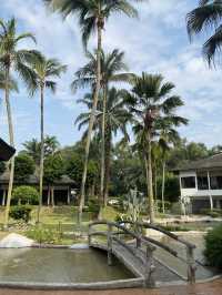 Three Tier Swimming Pool in Cyberjaya! 