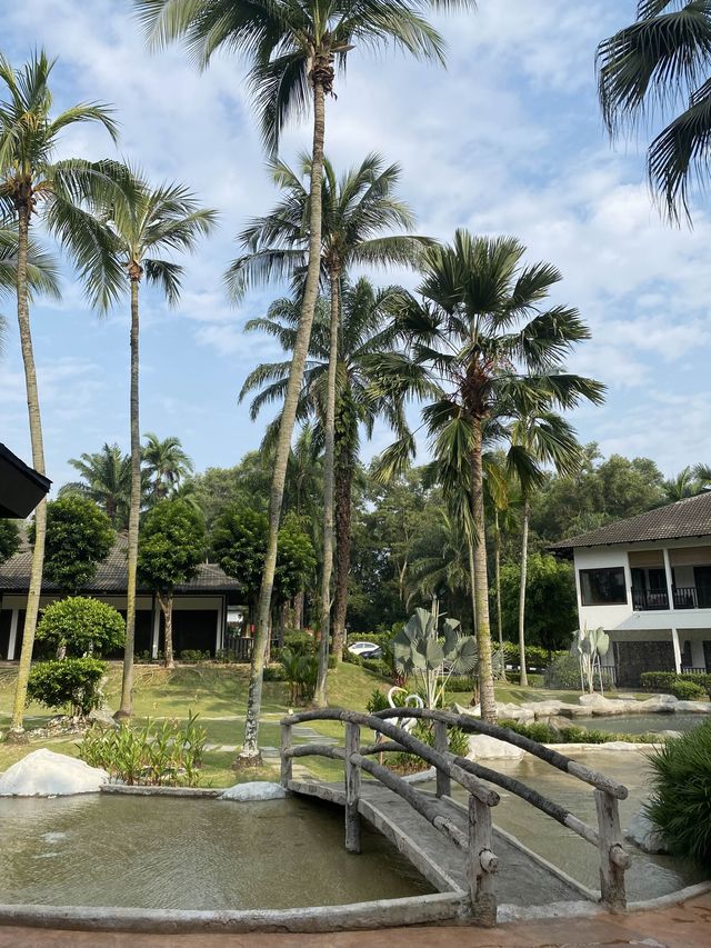 Three Tier Swimming Pool in Cyberjaya! 