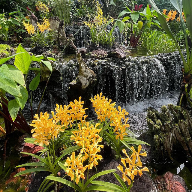 Serene Oasis in the City: Singapore Botanic Gardens